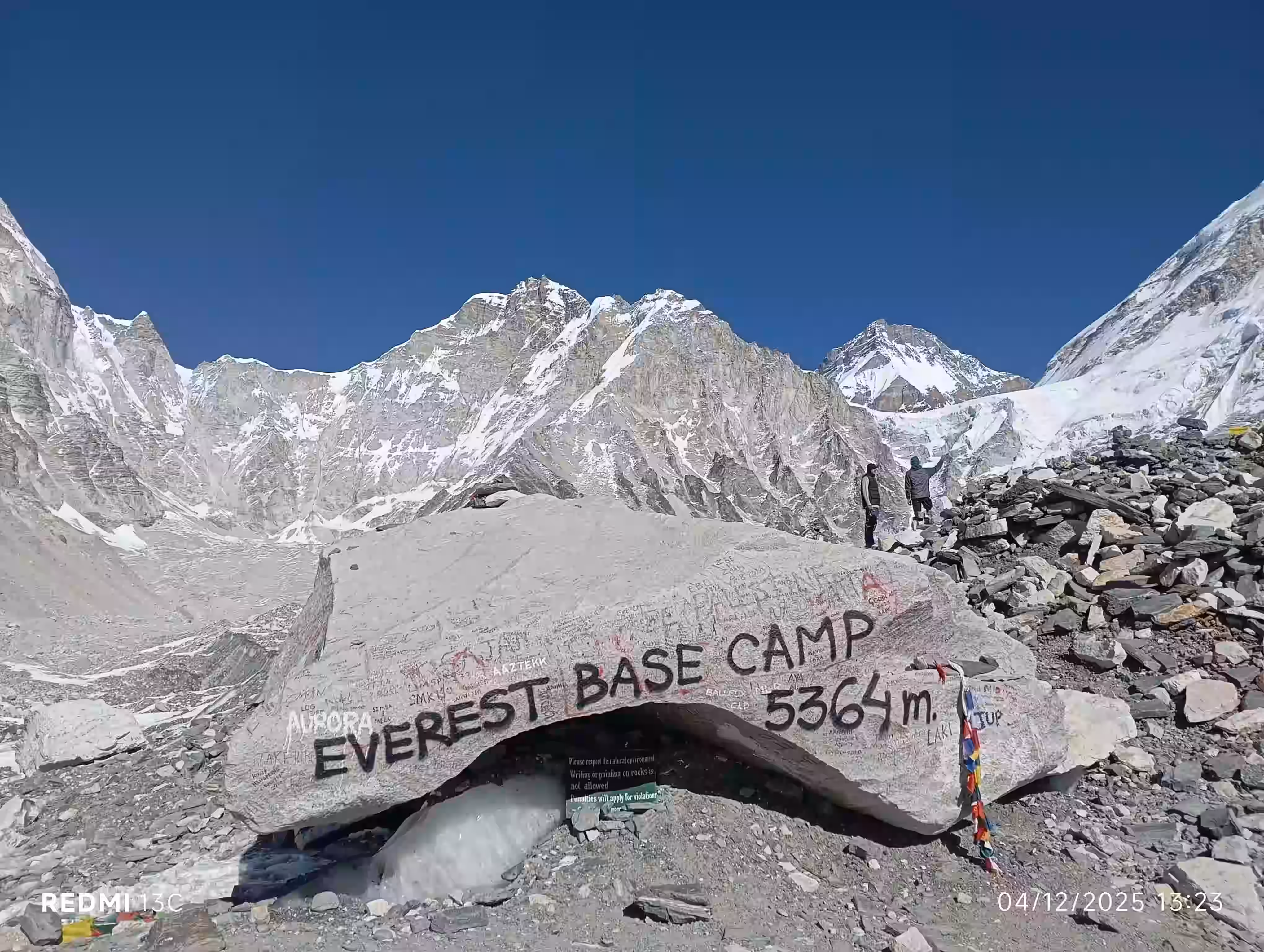 ギャラリー画像 11