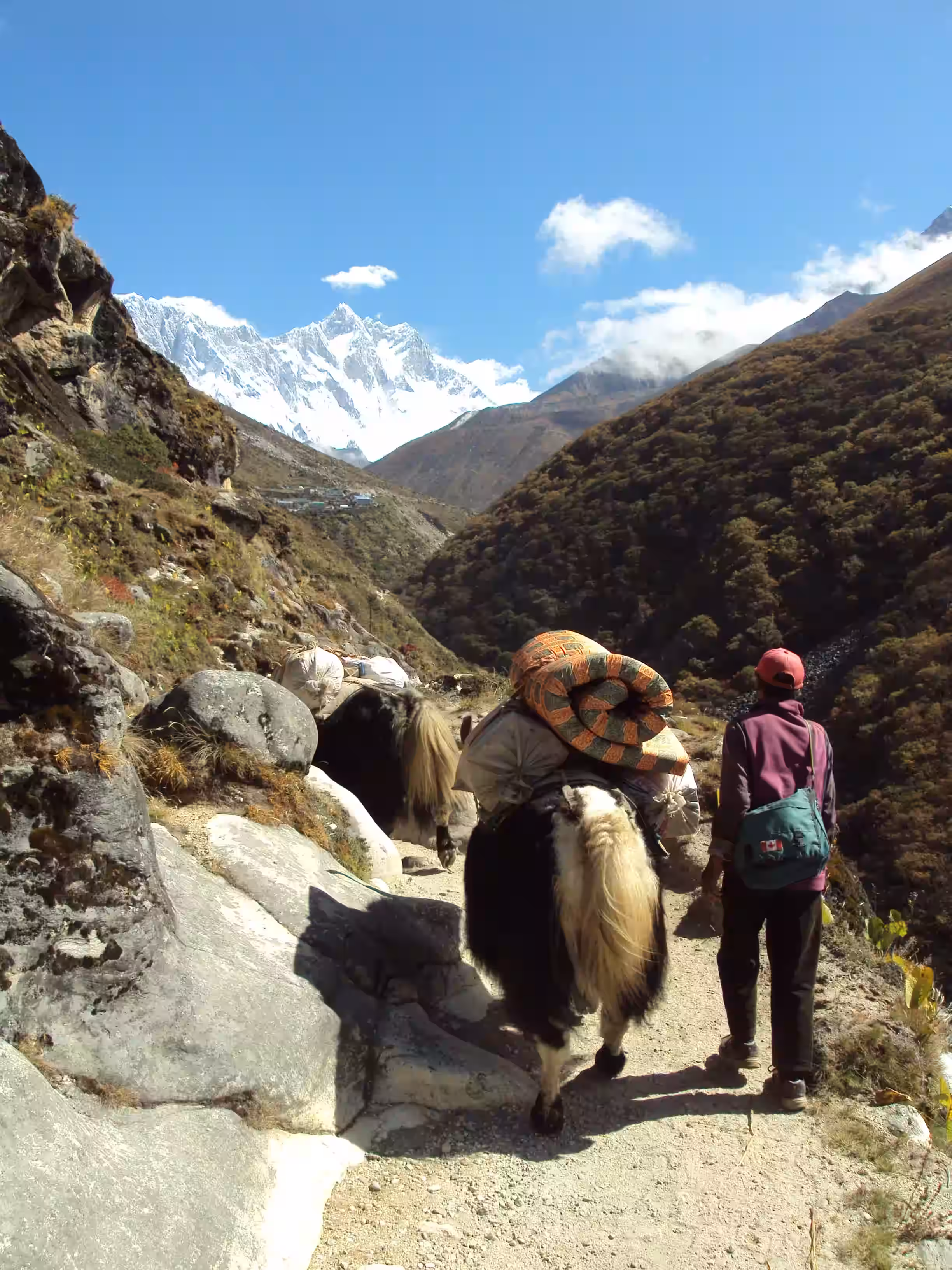 ギャラリー画像 6