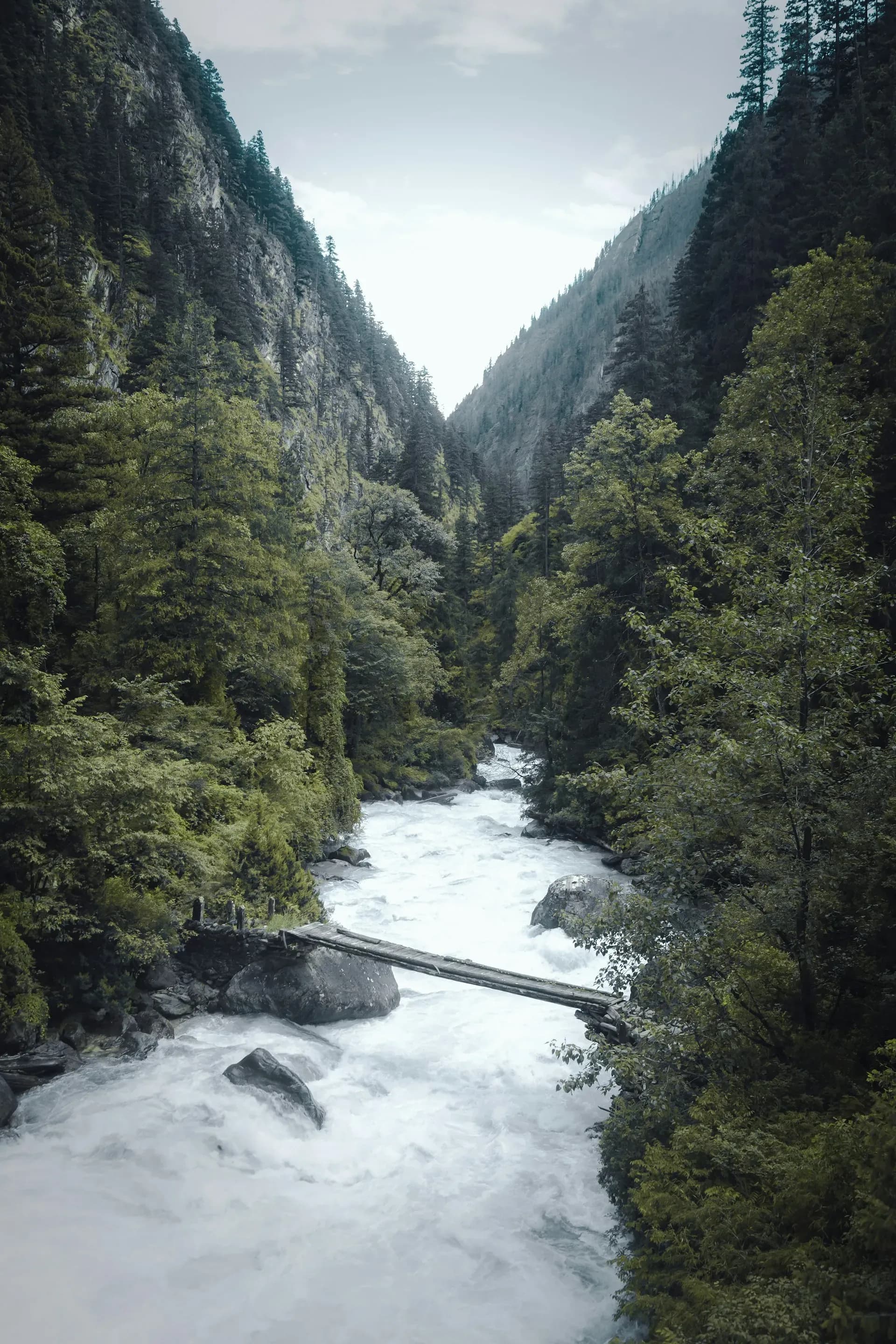 アッパー・ドルパ（上ドルポ）トレッキング — 写真 2