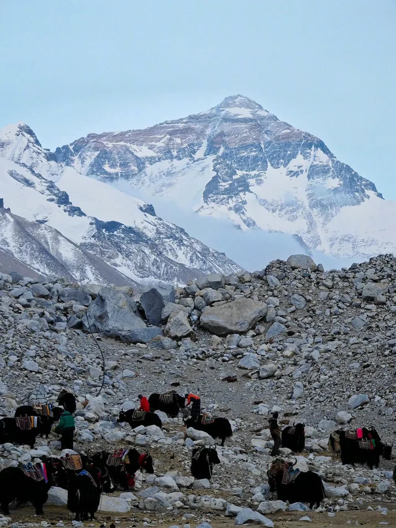 パイキーピークトレッキング — 写真 2